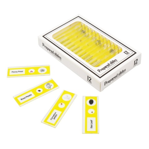 Набір мікропрепаратів SIGETA ENTRANCE Життєві цикли рослин (12 шт.)