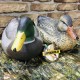 Опудала крижні GreenHead Gear Magnum Mallards комплект качка і селезень