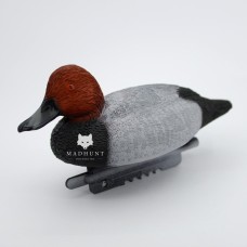 Червоноголовий нирок (красноголовик)