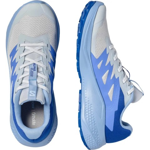 Кроссовки Salomon ALPHAGLIDE 4 Women Ancientwater/Brunnerablue