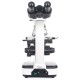 Мікроскоп SIGETA MB-202 40x-1600x LED Bino