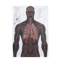 Мішень Алебарда Анатомічний силует ALB-50