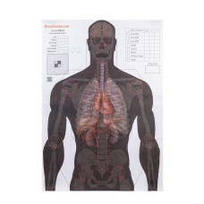 Мішень Алебарда Анатомічний силует ALB-50