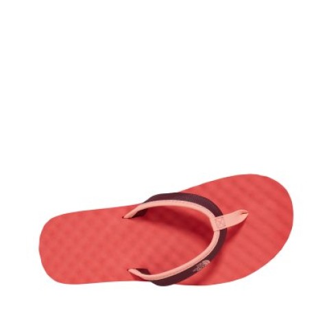 Women's Base Camp Mini