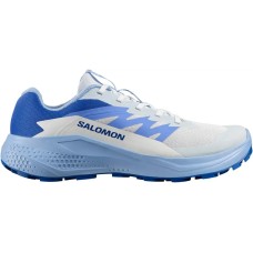 Кросівки Salomon ALPHAGLIDE 4 Women Ancientwater/Brunnerablue