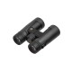 Бинокль LEUPOLD BX-2 Alpine 10x42mm Roof тёмно-серый