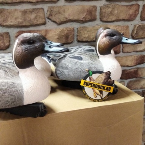 Опудала шилохвости Greenhead Life-Size комп. 6 шт.
