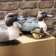 Опудала шилохвости Greenhead Life-Size комп. 6 шт.