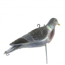 Набір опудал вяхиря Італія