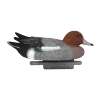 Опудало свиязи самець і самка