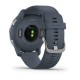 Смарт-часы Garmin Venu 2 гранитно-синие с серебристым безелем