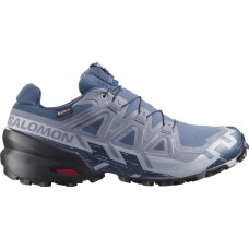 Кроссовки Salomon SPEEDCROSS 6 GTX 9 Spellbound/Black