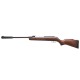 Пневматическая винтовка Gamo Hunter CSI