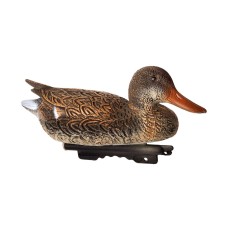 Опудало крижні Італія