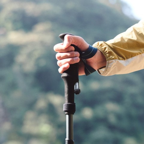 Трекінгова палиця Naturehike CNK2450DS013, 103-120 см, фіолетовий