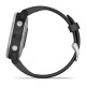 Смарт-часы Garmin fenix 6S серебристые с черным ремешком