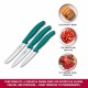 Набір ножів для чищення овочів Victorinox SWISS CLASSIC 3 ножа зел 6.7114.34C1