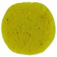 Бойли Brain Pop-Up F1 Wild Honey (мед) 12mm 15g