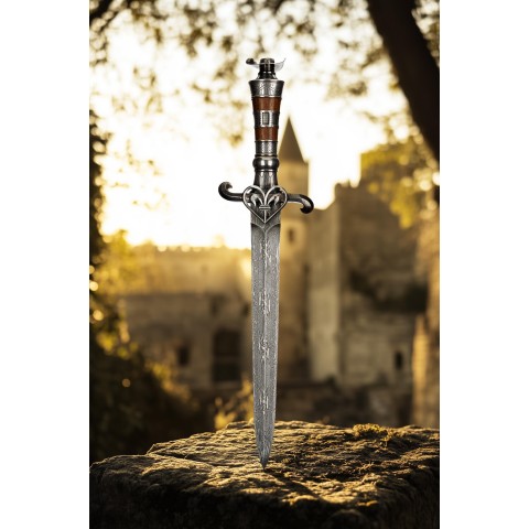 Набір кортиків 