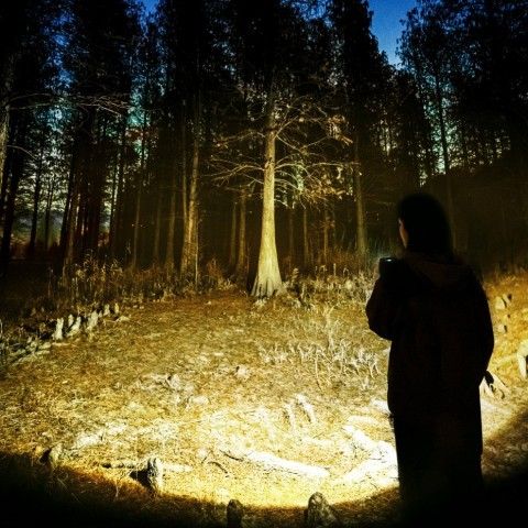 Ліхтар прожектор Naturehike CNK2300012, коричневий