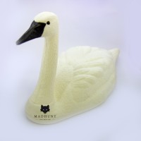 Лебідь великий дзьоб чорний