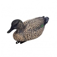 Чирок-свизунок качка