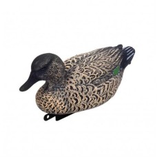 Чирок-свизунок качка