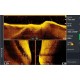 Датчик Lowrance Active Imaging HD 3-in-1 FishReveal High/Wide