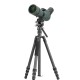 Штатив Vanguard Vesta Go 264CV12 (Vesta Go 264CV12)