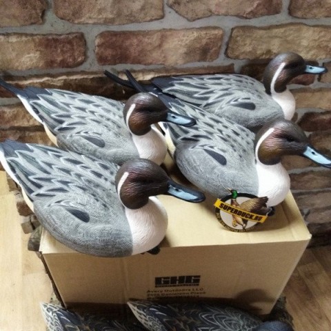 Опудала шилохвости Greenhead Life-Size комп. 6 шт.