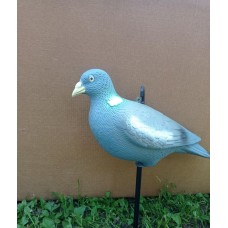 Припутень Полнокорпус середній