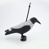 Сіра ворона