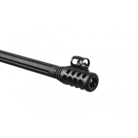 Gamo Black Bear