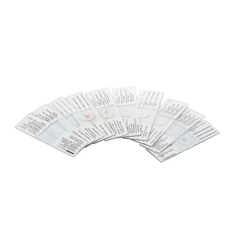 Набір мікропрепаратів KONUS Зоологія: Людські та тваринні паразити (10 шт.)