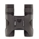Бінокль Burris Colorado 10x25