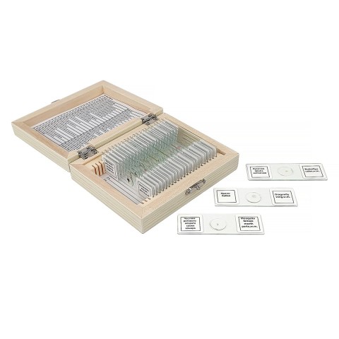 Набір мікропрепаратів SIGETA Зоологія (25 шт.)