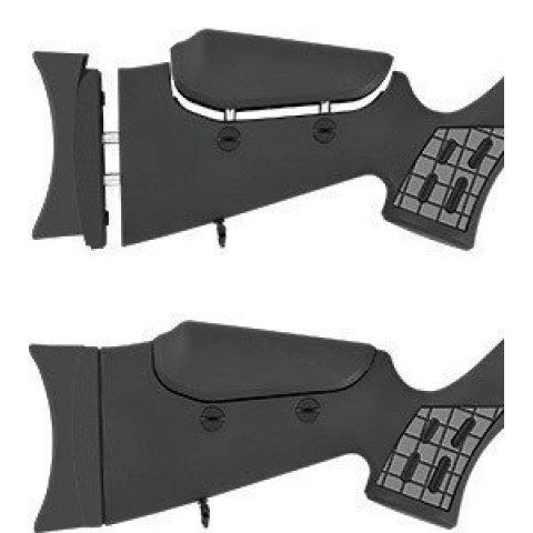 Гвинтівка Hatsan BT65-RB-Elite + насос ARTEMIS