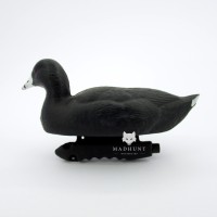 Опудало лиски/ лиски