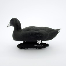 Опудало лиски/ лиски