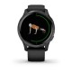 Смарт-часы Garmin Venu черные с серым безелем