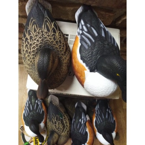 Чучела уток широконоски Greenhead Over Size комп. 6 шт.