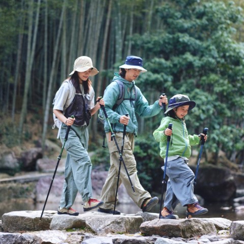 Трекінгова палиця 3-сек. Naturehike CNK2550DS010, 55-120 см, алюміній, зелена