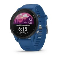 Смарт-часы Garmin Forerunner 255 синий прилив
