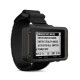Навигатор Garmin Foretrex 801