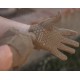 Перчатки Mechanix Precision High Dex M Coyote