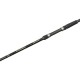 Вудилище коропове Brain Evidence 12'/3.60m 3.5lbs - 2sec