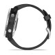 Смарт-часы Garmin fenix 6S Solar серебристые с черным ремешком