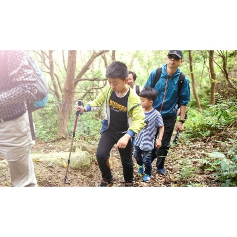 Трекінгова палиця 3-сек. Naturehike Women 6061 AL NH17D001-Z, 57-120 см, алюміній, зелена