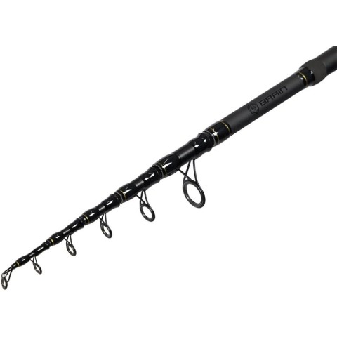 Вудилище коропове Brain Evidence 13'/3.90m 3.5lbs - 2sec