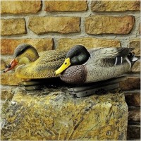 Опудало крижні, качка і селезень відпочиваючі серії STD Sport Plast комплект 2 шт.